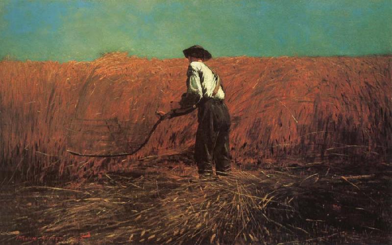 Winslow Homer The Veteran in a New Field oil painting image